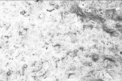 Mikroskopicky hladký povrch Baumit NanoPorTop znesnadňuje usazování nečistot